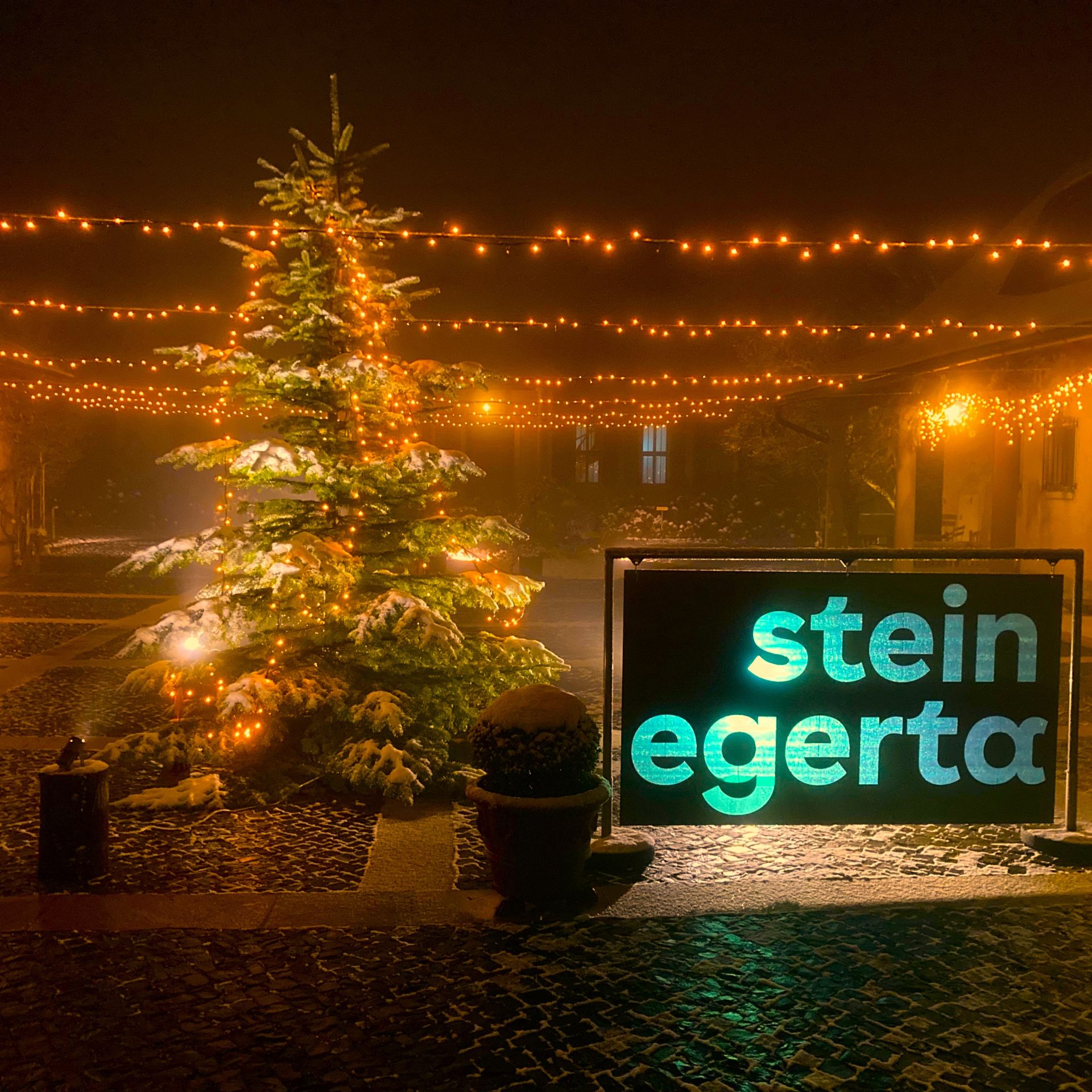 IMG_9468 quadratisch angepasst.jpg